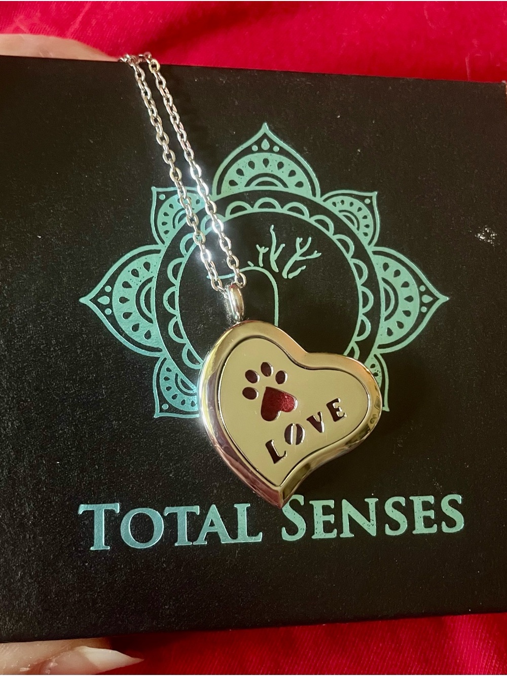 Silver Heart Pet Memorial Necklace - Love Paw Design (Silver, Red Accent)
